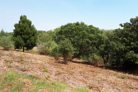 Helårsgrund i Sintra, Lisbon, Sintra - € 3.200.000 | Ref: SÒL_1419 - foto 10
