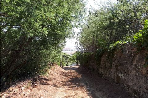 Helårsgrund i Sintra, Lisbon, Sintra - € 3.200.000 | Ref: SÒL_1419 - foto 11