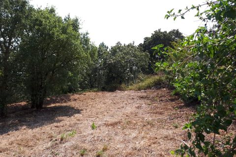 Helårsgrund i Sintra, Lisbon, Sintra - € 3.200.000 | Ref: SÒL_1419 - foto 12