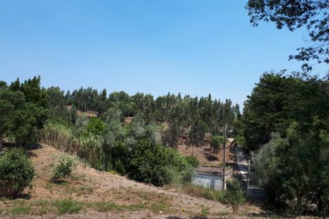 Helårsgrund i Sintra, Lisbon, Sintra - € 3.200.000 | Ref: SÒL_1419 - foto 13