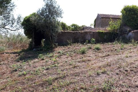 Helårsgrund i Sintra, Lisbon, Sintra - € 3.200.000 | Ref: SÒL_1419 - foto 14