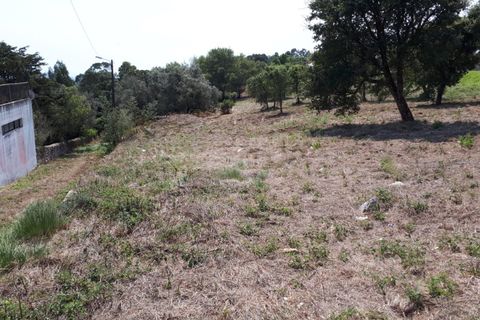 Helårsgrund i Sintra, Lisbon, Sintra - € 3.200.000 | Ref: SÒL_1419 - foto 15
