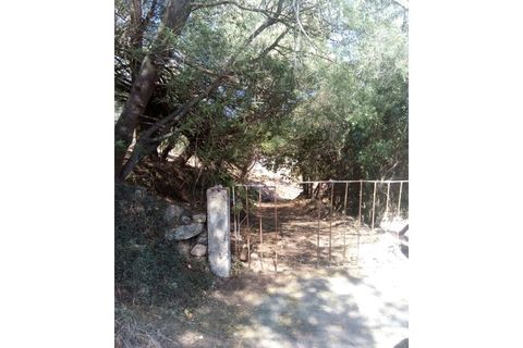 Helårsgrund i Sintra, Lisbon, Sintra - € 3.200.000 | Ref: SÒL_1419 - foto 19