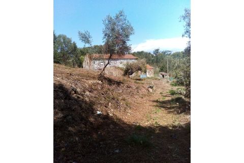 Helårsgrund i Sintra, Lisbon, Sintra - € 3.200.000 | Ref: SÒL_1419 - foto 20