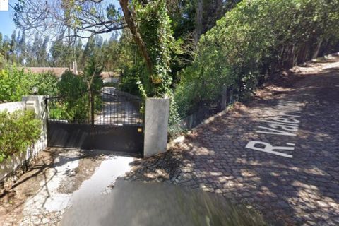 Helårsgrund i Sintra, Lisbon, Sintra - € 3.200.000 | Ref: SÒL_1419 - foto 23