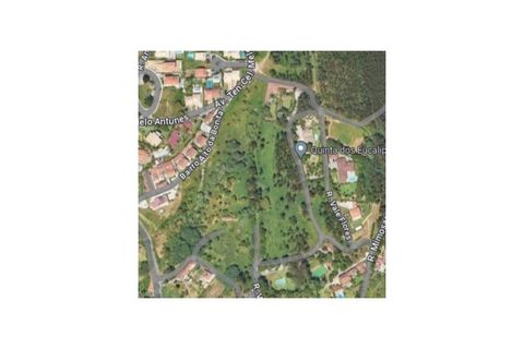 Helårsgrund i Sintra, Lisbon, Sintra - € 3.200.000 | Ref: SÒL_1419 - foto 24