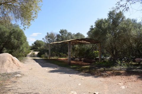 Villa i Campos, Mallorca, Campos - € 790.000 | Ref: CMP3005/8459 - foto 19