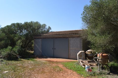 Villa i Campos, Mallorca, Campos - € 790.000 | Ref: CMP3005/8459 - foto 20