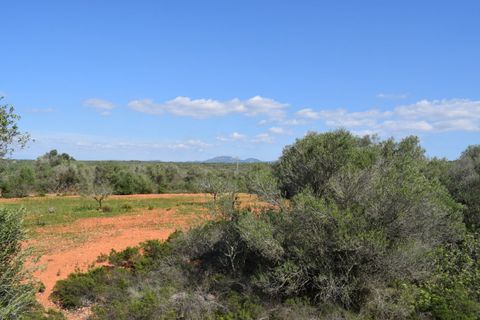 Villa i Campos, Mallorca, Campos - € 790.000 | Ref: CMP3005/8459 - foto 21
