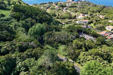 Helårsgrund i Horta, Faial, Horta - € 72.000 | Ref: 374240182 - foto 13