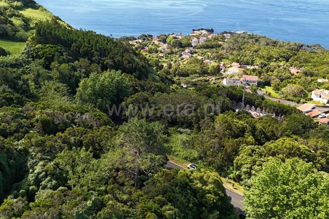 Helårsgrund i Horta, Faial, Horta - € 72.000 | Ref: 374240182 - foto 14