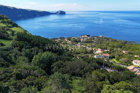 Helårsgrund i Horta, Faial, Horta - € 72.000 | Ref: 374240182 - foto 15