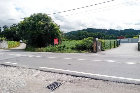 Terra a Balugaes, Braga, Balugaes - € 160.000 | Ref: 89/24 - foto 3