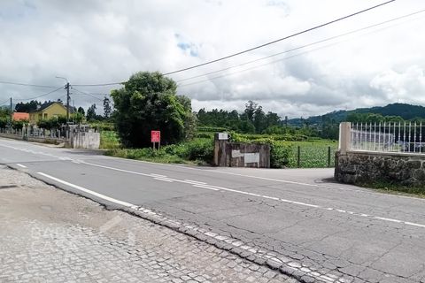Terra a Balugaes, Braga, Balugaes - € 160.000 | Ref: 89/24 - foto 4