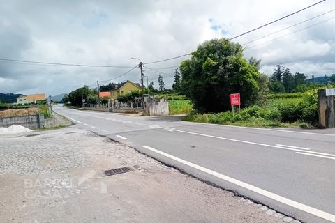 Terra a Balugaes, Braga, Balugaes - € 160.000 | Ref: 89/24 - foto 6