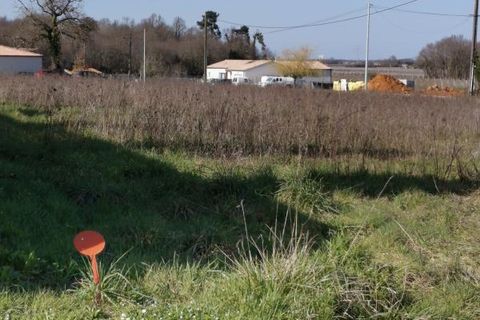 Terra a Bois, Charente-Maritime, Bois - € 23.220 | Ref: SP3376 - foto 3