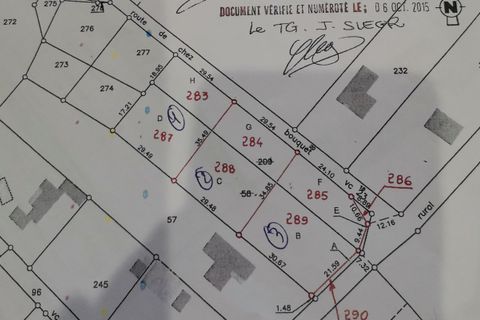 Terra a Bois, Charente-Maritime, Bois - € 23.220 | Ref: SP3376 - foto 5