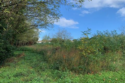 Terra a Saint-Thomas-De-Conac, Charente-Maritime, Saint-Thomas-De-Conac - € 54.500 | Ref: CC3081 - foto 2