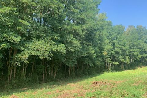 Terra a Saint-Thomas-De-Conac, Charente-Maritime, Saint-Thomas-De-Conac - € 54.500 | Ref: CC3081 - foto 3