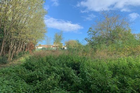 Terra a Saint-Thomas-De-Conac, Charente-Maritime, Saint-Thomas-De-Conac - € 54.500 | Ref: CC3081 - foto 4