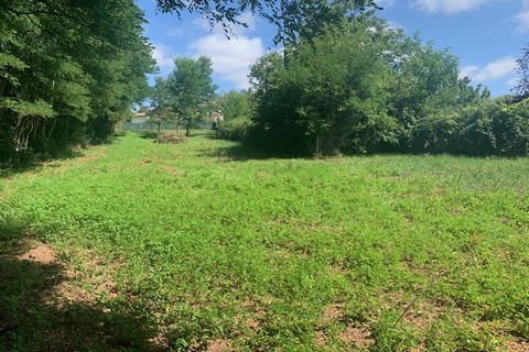 Terra a Saint-Thomas-De-Conac, Charente-Maritime, Saint-Thomas-De-Conac - € 54.500 | Ref: CC3081 - foto 5