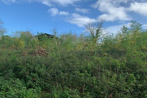 Terra a Saint-Thomas-De-Conac, Charente-Maritime, Saint-Thomas-De-Conac - € 54.500 | Ref: CC3081 - foto 6