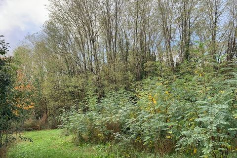 Terra a Saint-Thomas-De-Conac, Charente-Maritime, Saint-Thomas-De-Conac - € 54.500 | Ref: CC3081 - foto 9