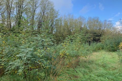 Terra a Saint-Thomas-De-Conac, Charente-Maritime, Saint-Thomas-De-Conac - € 54.500 | Ref: CC3081 - foto 10