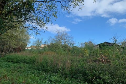 Terra a Saint-Thomas-De-Conac, Charente-Maritime, Saint-Thomas-De-Conac - € 54.500 | Ref: CC3081 - foto 11