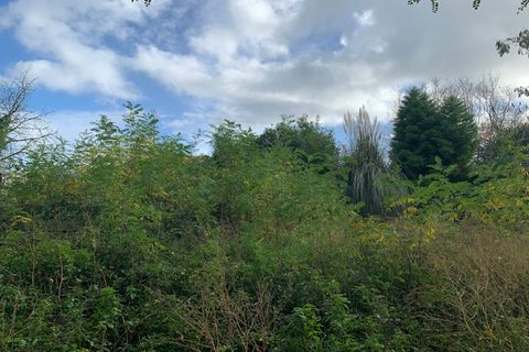 Terra a Saint-Thomas-De-Conac, Charente-Maritime, Saint-Thomas-De-Conac - € 54.500 | Ref: CC3081 - foto 12