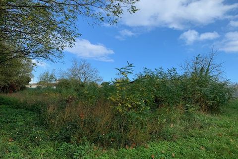 Terra a Saint-Thomas-De-Conac, Charente-Maritime, Saint-Thomas-De-Conac - € 54.500 | Ref: CC3081 - foto 13