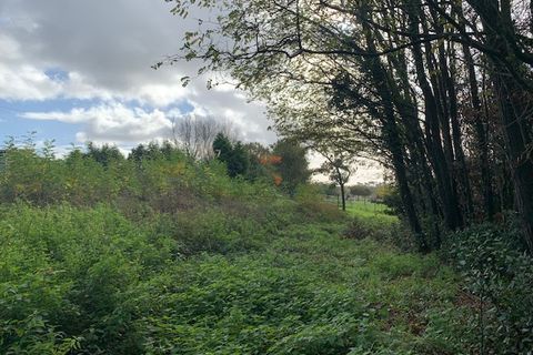 Terra a Saint-Thomas-De-Conac, Charente-Maritime, Saint-Thomas-De-Conac - € 54.500 | Ref: CC3081 - foto 14