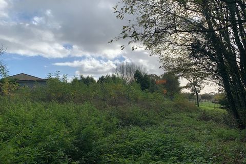 Terra a Saint-Thomas-De-Conac, Charente-Maritime, Saint-Thomas-De-Conac - € 54.500 | Ref: CC3081 - foto 16