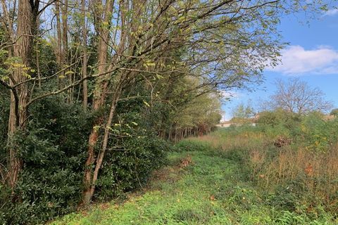 Terra a Saint-Thomas-De-Conac, Charente-Maritime, Saint-Thomas-De-Conac - € 54.500 | Ref: CC3081 - foto 17