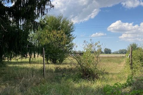Helårsgrund i Bois, Charente-Maritime, Bois - € 36.500 | Ref: pg353sgs - foto 1