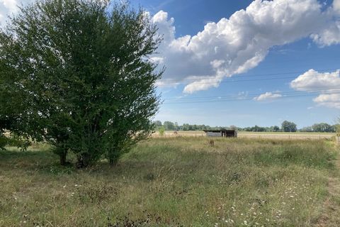 Helårsgrund i Bois, Charente-Maritime, Bois - € 36.500 | Ref: pg353sgs - foto 6