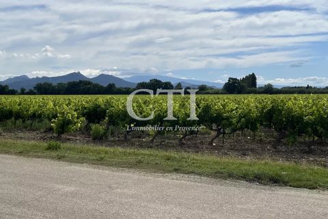 Villa a Violès, Vaucluse, Violès - € 562.000 | Ref: 210 - foto 2