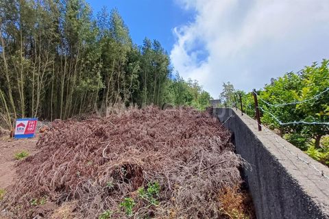 Terra a Ribeira Brava, Madeira, Ribeira Brava - € 40.000 | Ref: 081240182 - foto 2