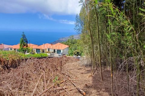Terra a Ribeira Brava, Madeira, Ribeira Brava - € 40.000 | Ref: 081240182 - foto 3
