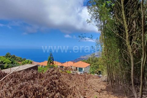 Terra a Ribeira Brava, Madeira, Ribeira Brava - € 40.000 | Ref: 081240182 - foto 4
