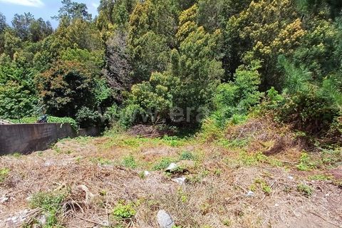 Terra a Ribeira Brava, Madeira, Ribeira Brava - € 40.000 | Ref: 081240182 - foto 5