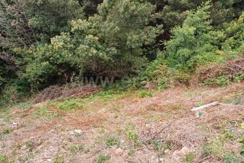 Terra a Ribeira Brava, Madeira, Ribeira Brava - € 40.000 | Ref: 081240182 - foto 7