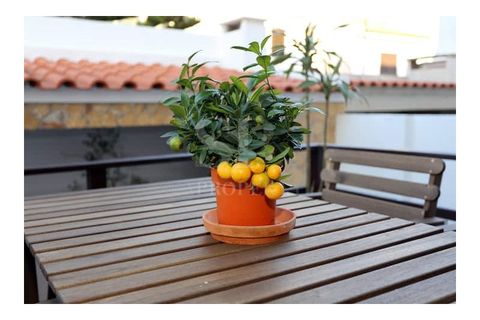 Rækkehus i Ferrel, Leiria, Ferrel - € 2.000/måned | Ref: SP. 226 - foto 3