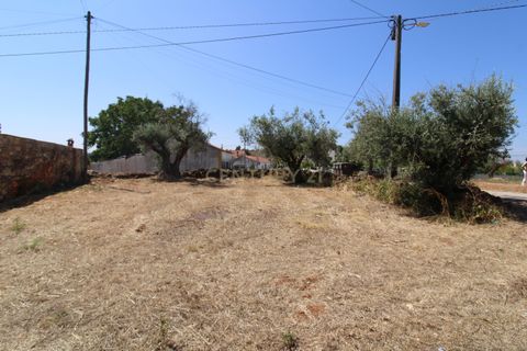 Helårsgrund i Tomar, Santarem, Tomar - € 25.500 | Ref: C0452-00135 - foto 4