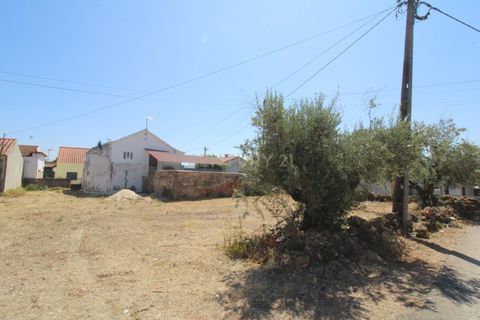 Helårsgrund i Tomar, Santarem, Tomar - € 25.500 | Ref: C0452-00135 - foto 7