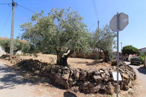 Helårsgrund i Tomar, Santarem, Tomar - € 25.500 | Ref: C0452-00135 - foto 11