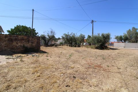 Helårsgrund i Tomar, Santarem, Tomar - € 25.500 | Ref: C0452-00135 - foto 12