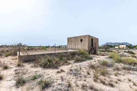 Finca in Alicante, Alicante - Foto 2