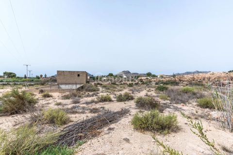 Finca in Alicante, Alicante - Foto 3