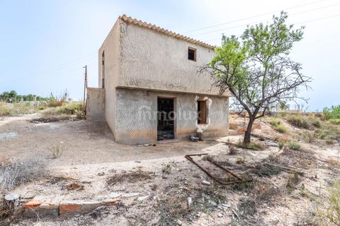 Finca in Alicante, Alicante - Foto 4